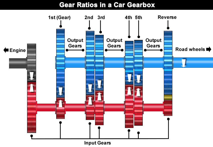 The connected input and output cogs provide different gear ratios inside a car's gearbox