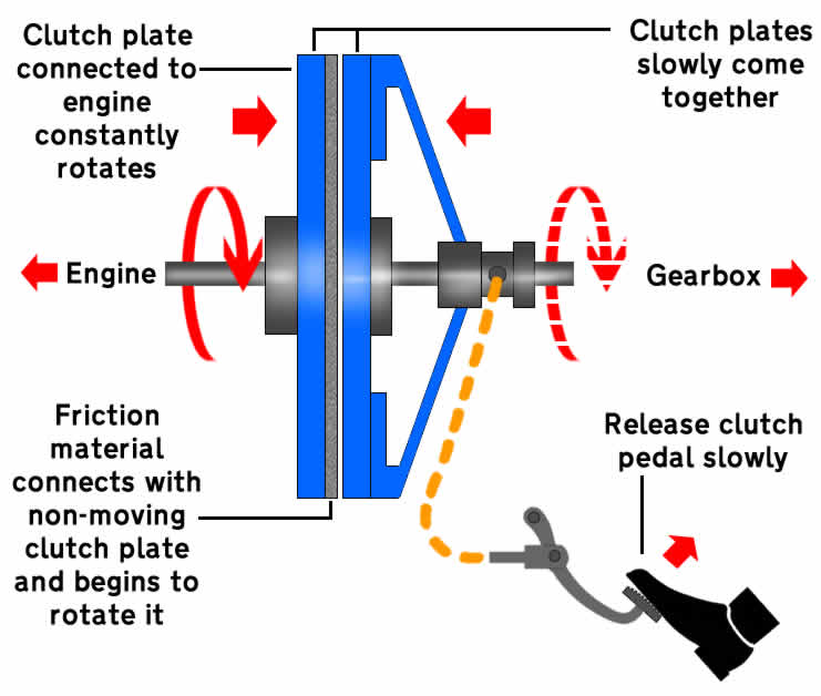 Why Does a Car Need a Clutch » Learn Driving Tips