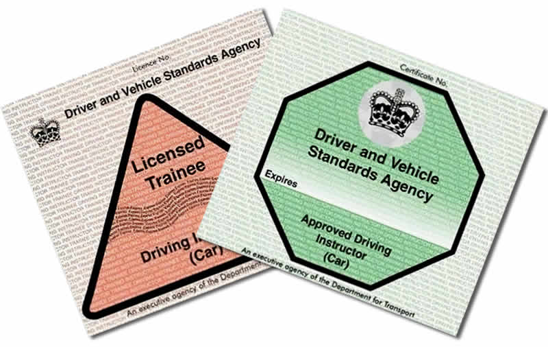 Trainee driving instructor licence and fully qualified driving instructor licence